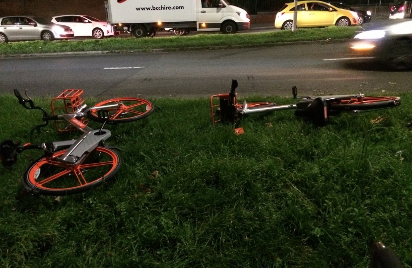 Two Mobikes abandoned on the grass as if they were litter