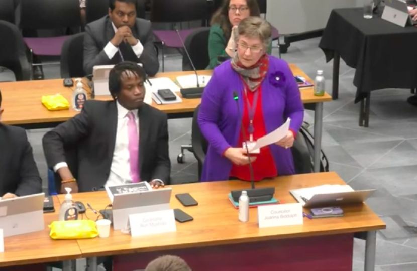 Cllr Joanna Biddolph standing as she speaks during the debate, sitting next to Cllr Ron Mushiso, both of Chiswick Gunnersbury ward