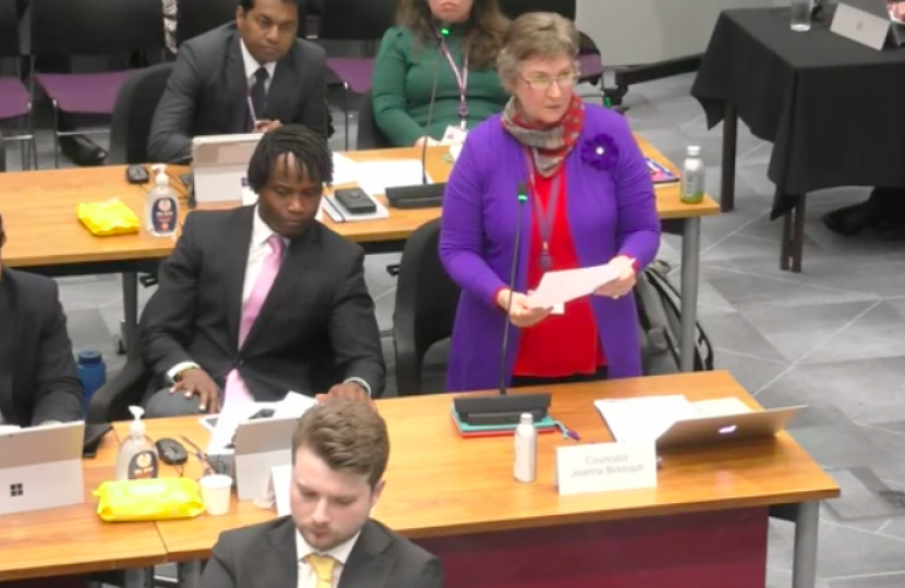 Cllr Joanna Biddolph standing to make her speech in the council chamber