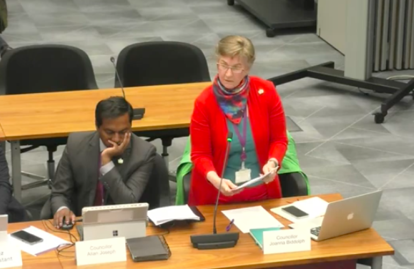 Photo of Cllr Biddolph speaking in the chamber, standing as she makes her points