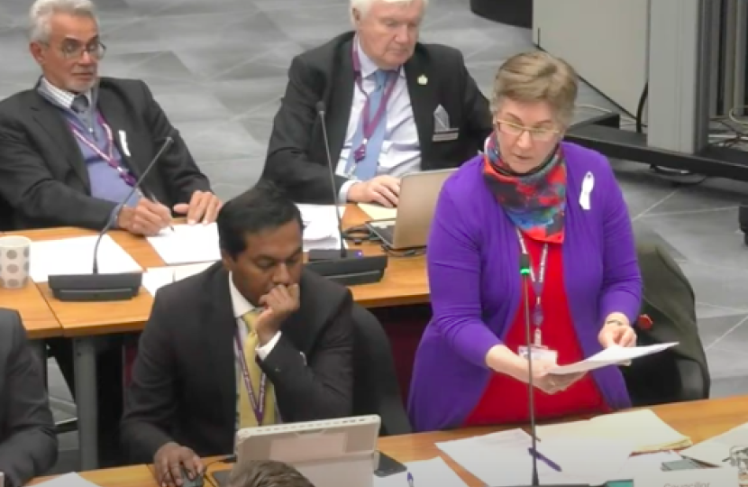 Photo of Jo standing while speaking in the council chamber at Hounslow House. 