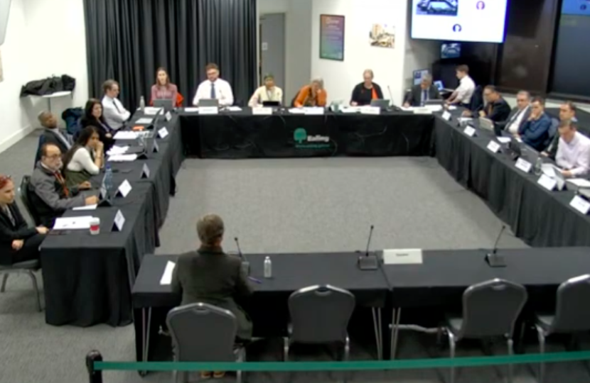 Screenshot of the Ealing council planning committee meeting showing the committee room with Cllr Joanna Biddolph seen from behind as she speaks.