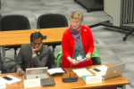 Photo of Cllr Biddolph speaking in the chamber, standing as she makes her points