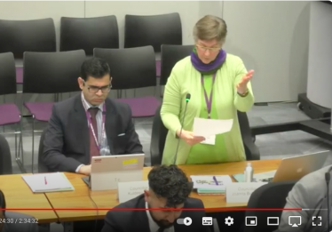 Screengrab of the council chamber showing Jo standing and speaking