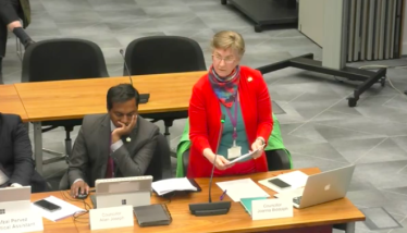 Photo of Cllr Biddolph speaking in the chamber, standing as she makes her points