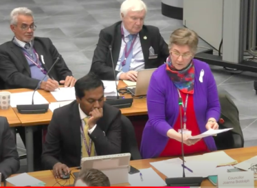 Photo of Jo standing while speaking in the council chamber at Hounslow House. 