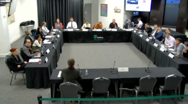 Screenshot of the Ealing council planning committee meeting showing the committee room with Cllr Joanna Biddolph seen from behind as she speaks.